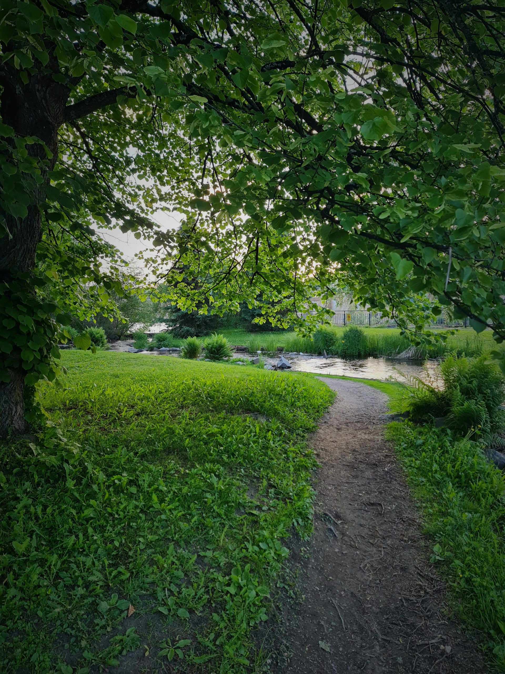 Otoksia kesästä 2024